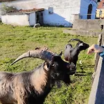 Folwark Luknajno Nad Jeziorem Sniardwy Dziedzictwo Kulinarne Warmia-mazury