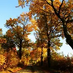 Folwark Luknajno Nad Jeziorem Sniardwy Dziedzictwo Kulinarne Warmia-mazury 3*