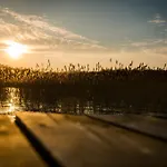 Folwark Luknajno Nad Jeziorem Sniardwy Dziedzictwo Kulinarne Warmia-mazury Bed & Breakfast Mikolajki (Mragowo)