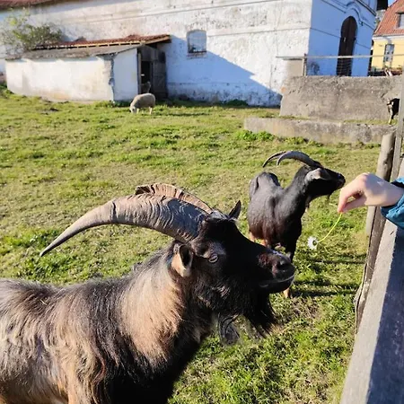 Folwark Luknajno Nad Jeziorem Sniardwy Dziedzictwo Kulinarne Warmia-mazury