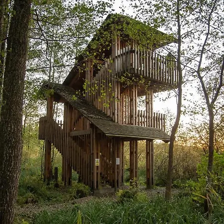 Folwark Luknajno Nad Jeziorem Sniardwy Dziedzictwo Kulinarne Warmia-mazury Couette-café Mikołajki