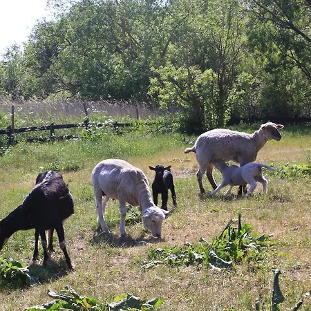 Folwark Luknajno Nad Jeziorem Sniardwy Dziedzictwo Kulinarne Warmia-mazury Couette-café 3*