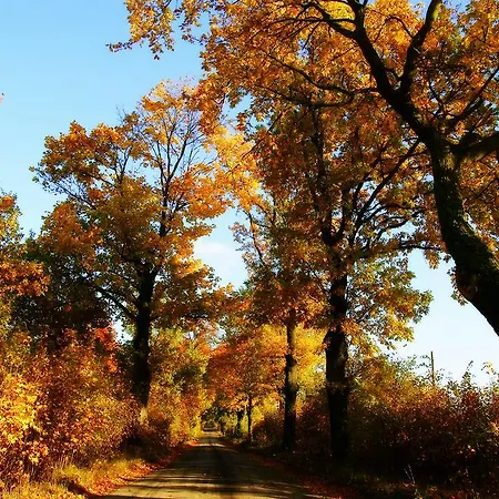 Folwark Luknajno Nad Jeziorem Sniardwy Dziedzictwo Kulinarne Warmia-mazury 3*