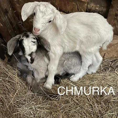 Folwark Luknajno Nad Jeziorem Sniardwy Dziedzictwo Kulinarne Warmia-mazury 3*