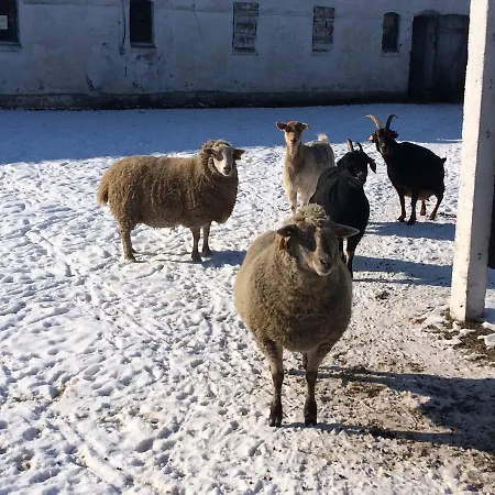 B&B Folwark Luknajno Nad Jeziorem Sniardwy Dziedzictwo Kulinarne Warmia-mazury