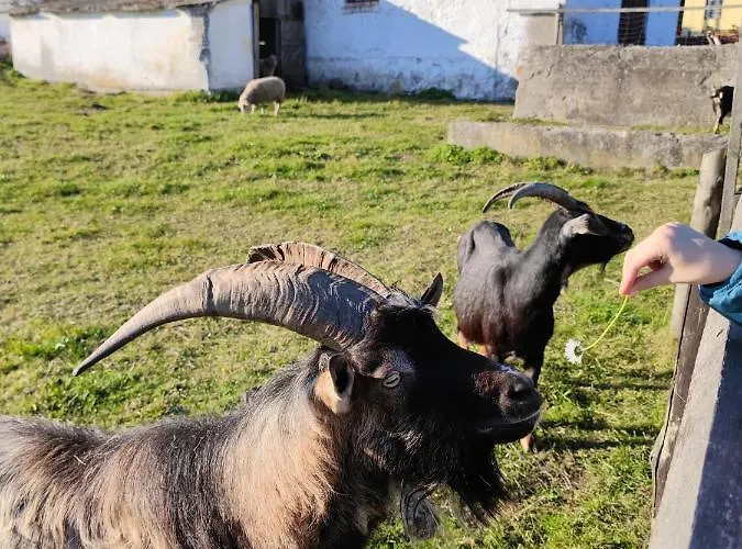 Folwark Luknajno Nad Jeziorem Sniardwy Dziedzictwo Kulinarne Warmia-mazury