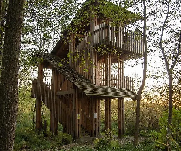 Folwark Luknajno Nad Jeziorem Sniardwy Dziedzictwo Kulinarne Warmia-mazury Bed & Breakfast Mikołajki