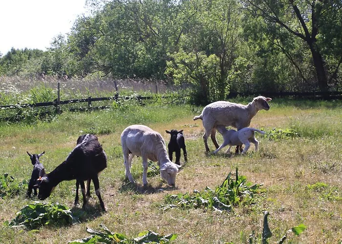Folwark Luknajno Nad Jeziorem Sniardwy Dziedzictwo Kulinarne Warmia-mazury Bed & Breakfast 3*
