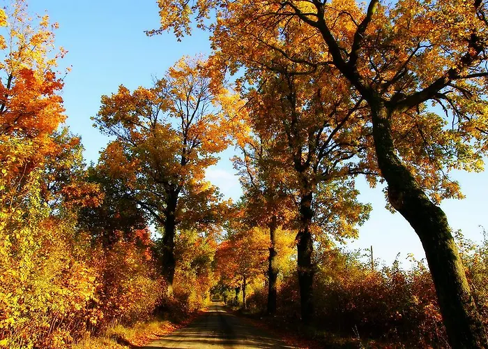 Folwark Luknajno Nad Jeziorem Sniardwy Dziedzictwo Kulinarne Warmia-mazury 3*