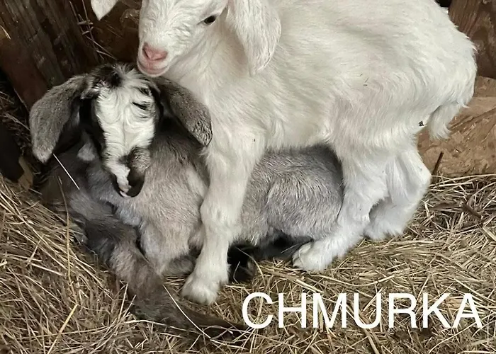 Folwark Luknajno Nad Jeziorem Sniardwy Dziedzictwo Kulinarne Warmia-mazury 3*