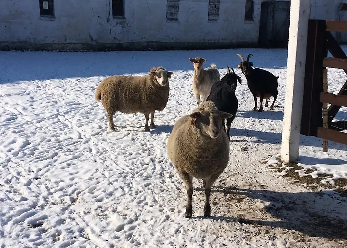 Bed & Breakfast Folwark Luknajno Nad Jeziorem Sniardwy Dziedzictwo Kulinarne Warmia-mazury